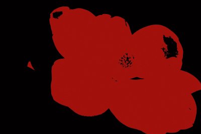 Magnolia Black & Red