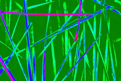 Grasses Green/Multi
