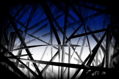 Grasses Blue
