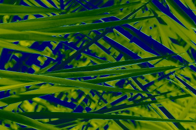 Palm Leaves Blue/Green