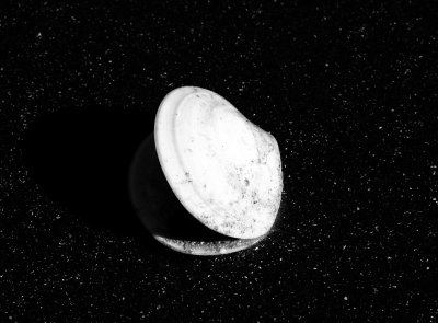 Shell Black & White