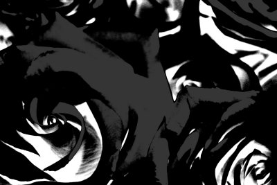 A Dozen Roses Black/White/Grey