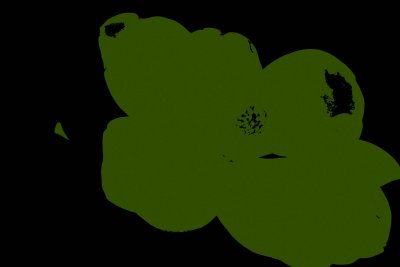 Magnolia Green & Black
