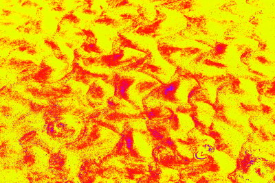 Sand Patterns 3 Yellow/Multi