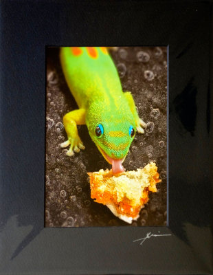 Gecko eating pastry - Fire and ice (Sinful lick) - detailed size.jpg