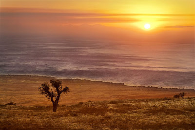 Kohala Coast sunset