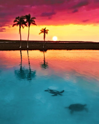 Turtles swimming at sunset