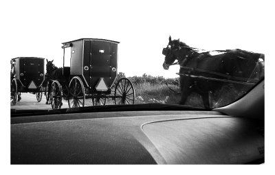 Overtake the Amish 2