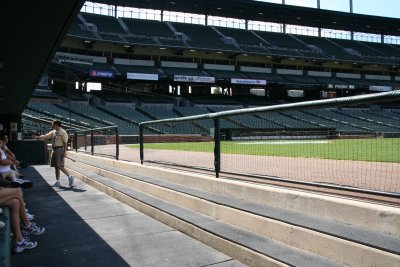 View from the Dugout
