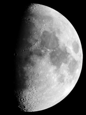 9.5 Day Moon