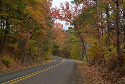 Farm Rd 323 a.jpg