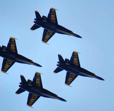 The Blue Angels 2006