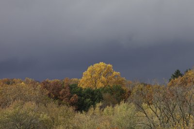 IMG_2486.jpg