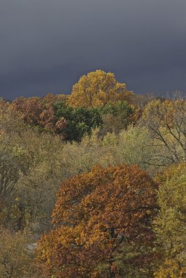 IMG_2488.jpg