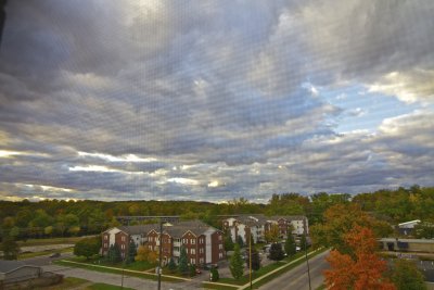 IMG_2339.jpg