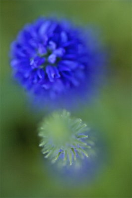 IMG_6812.jpg