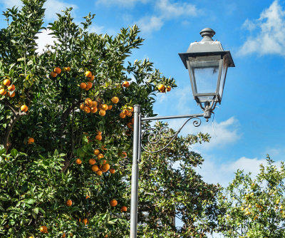 Lamp and Oranges