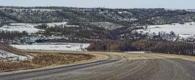 Trees and Curving Road