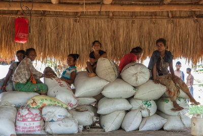 Waiting for the rice to be picked up in Maliana District