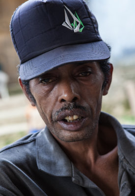 13 portraits of members of the coffee coop