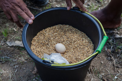 First trip with MCEA Timor Leste