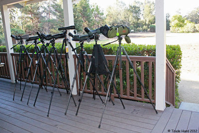 Field test spotting scopes and binoculars from Optics4Birding