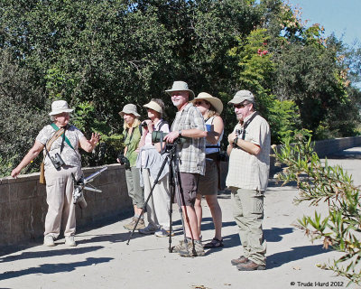 Go on a Bird Walk 