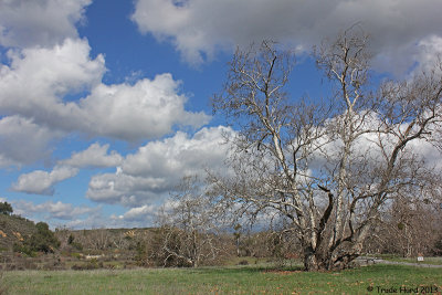 Winter walk at Caspers Wilderness Park