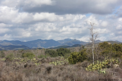 All time spent in nature at Caspers is GOOD TIME!