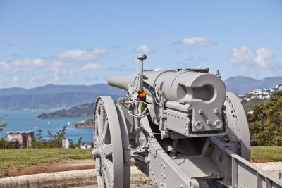 Canon Wellington Harbour.jpg