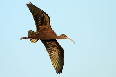 IMG_3053.jpg