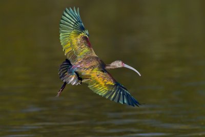 IMG_9855.jpg