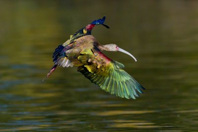 IMG_9857.jpg