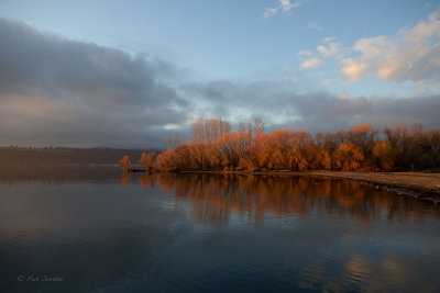 Maude Roxby Wildlife Refuge