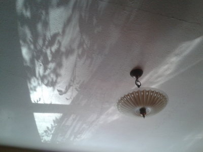 Look up, look up!