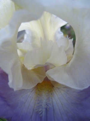 2005-05-14 06:51