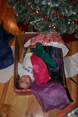 20081224-2047-6572D.JPG