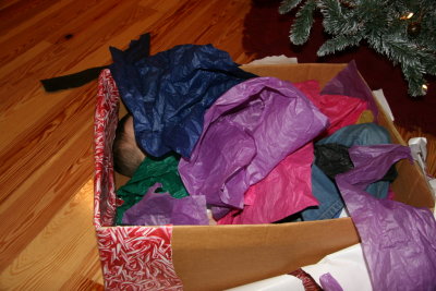 20081224-2047-6573D.JPG