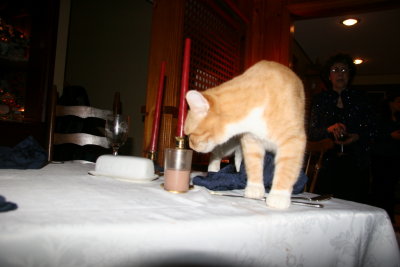 20081224-2105-6584D.JPG