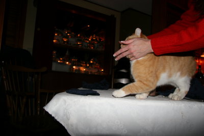 20081224-2105-6585D.JPG
