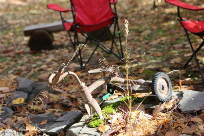 20121020-1332-5165-5D Mark III.JPG