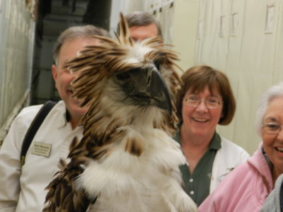 Eagle.JPG
