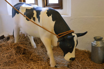Dairy Cattle Model