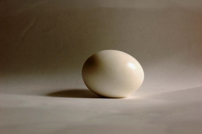 g2/92/694592/3/66182852.pxSo0eC4.jpg