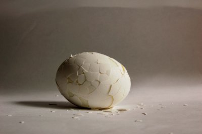 egg_variations_2