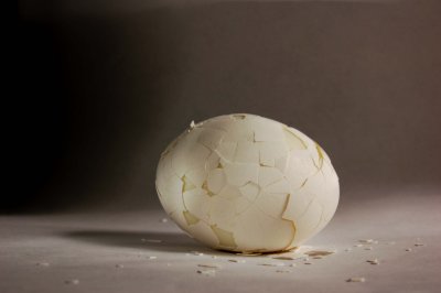 g2/92/694592/3/66183775.oliXvn7r.jpg