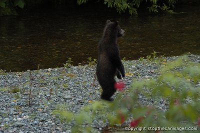 DSC_0038ca072406a.jpg