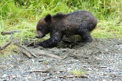 DSC_0039ca072406b.jpg