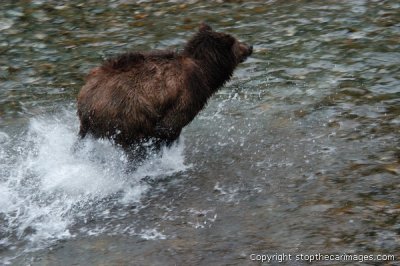 DSC_0043ca072406d.jpg