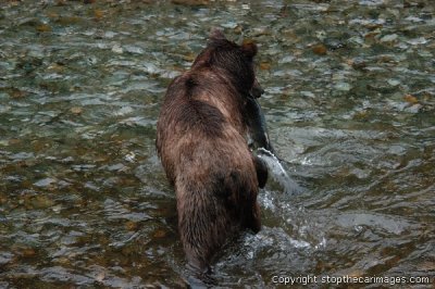 DSC_0045ca072406d.jpg